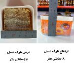 عسل باموم زیرفون جنگلی (10 تا نیم کیلویی) - Image 2