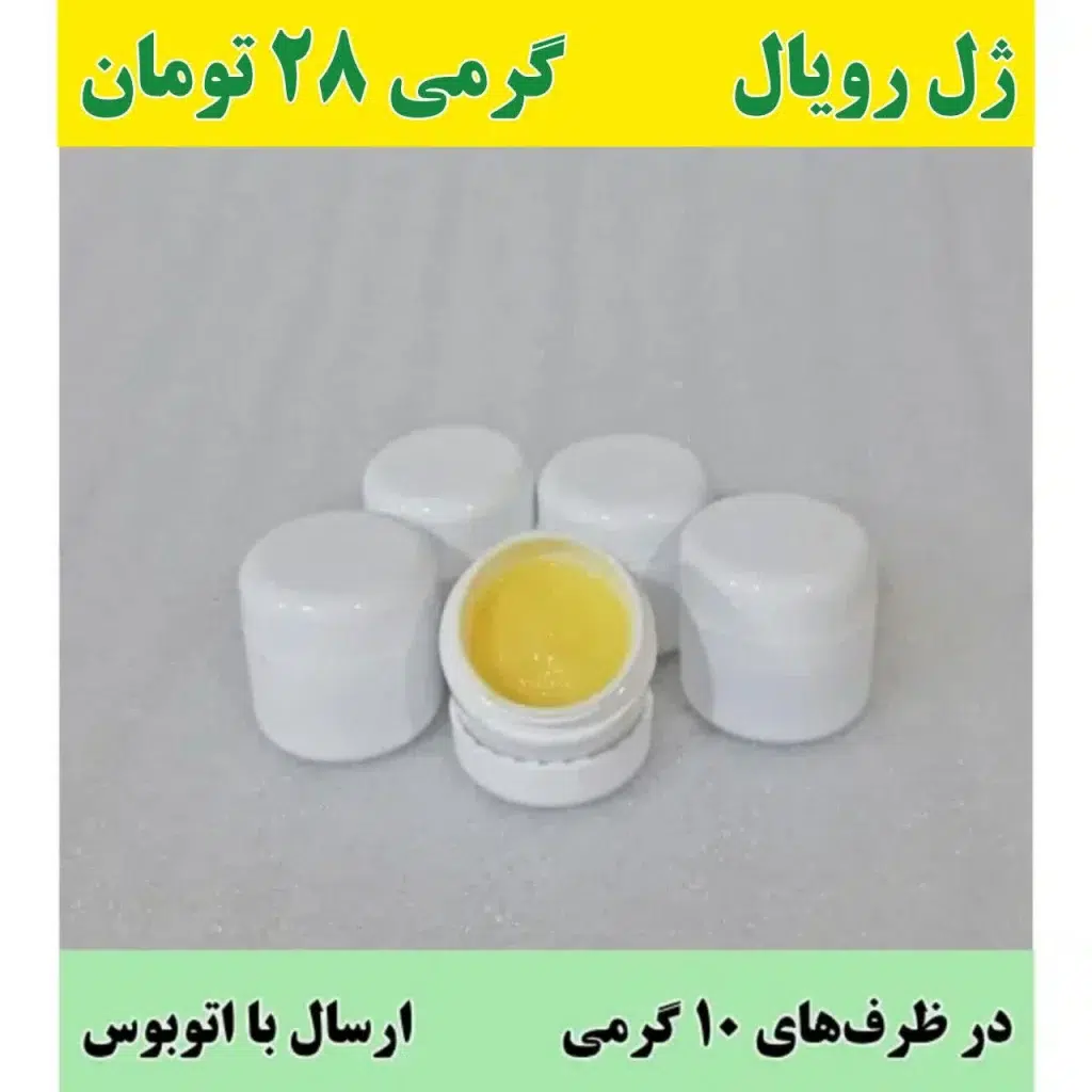 خرید ژل رویال در ظرف 10 گرمی
