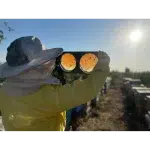 عسل خودبافت (5 تا یک کیلویی) - Image 4