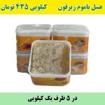 عسل باموم زیرفون جنگلی (5 تا یک کیلویی)
