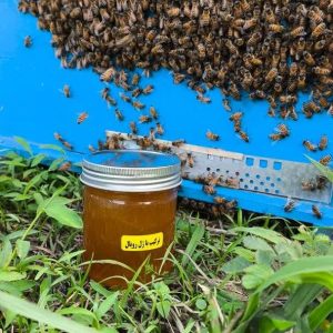 معجون ژل رویال ترکیب با عسل گزانگبین